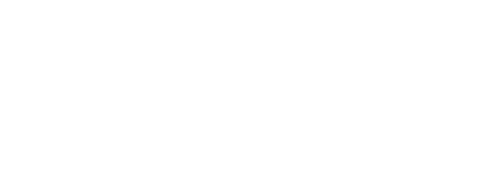 Logo Footer